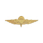 JORDANIAN JUMP WINGS
